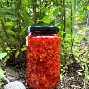 Peperoncino piccante Calabrese ml 314