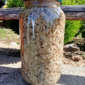 Cardoncelli macinato dolce kg 3,100