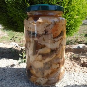 Cardoncelli trifolati ml 314