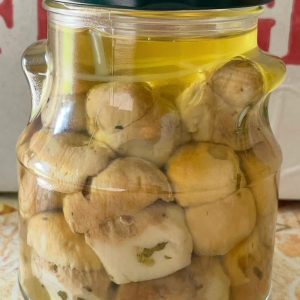 Funghi porcini da ml 580