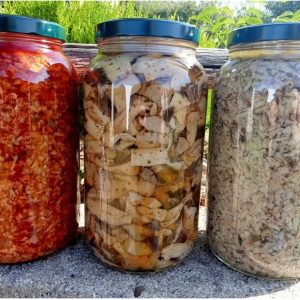 Tris da kg 3.100 di funghi Cardoncelli