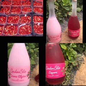 Liquore di fragoline di bosco, e crema di fragoline di bosco