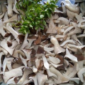 Cardoncelli in salamoia contenitore