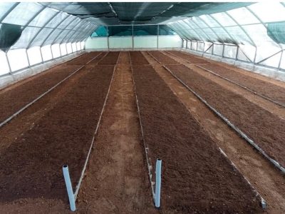 WhatsApp Image 2026-02-18 at 10.52.14